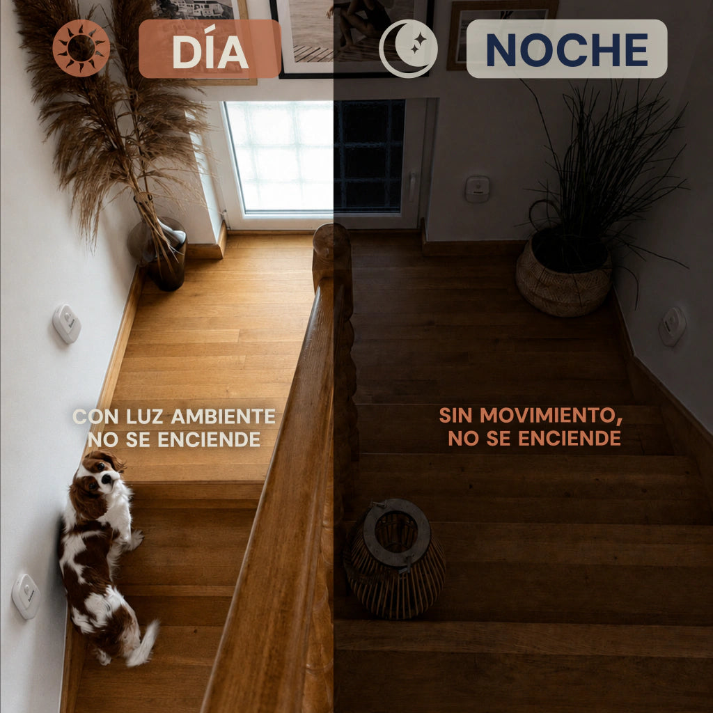 FOTO DE PRUEBA - Luz Guía